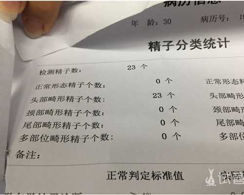 骨盆矫正带什么时候用