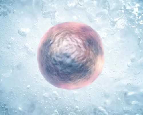 北京供卵代怀流程|北京供卵试管生男孩做的好的医院排名如何？北京供卵生男