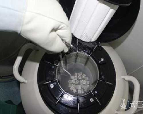 北京试管中介电话号码|北京助孕公司排名-正规试管生子机构