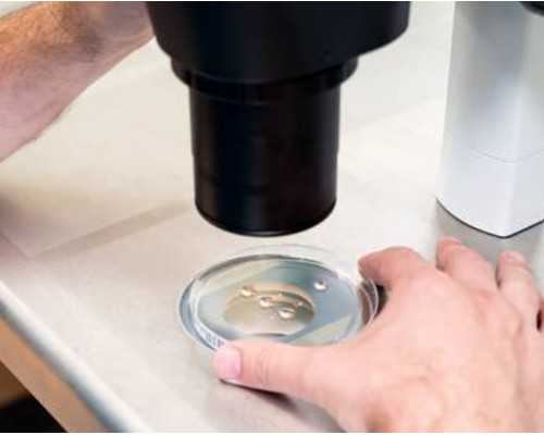 项城试管助孕多少钱