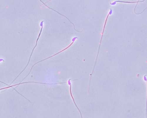 孕期三个月怎么看男女？判断性别有什么科学方法？