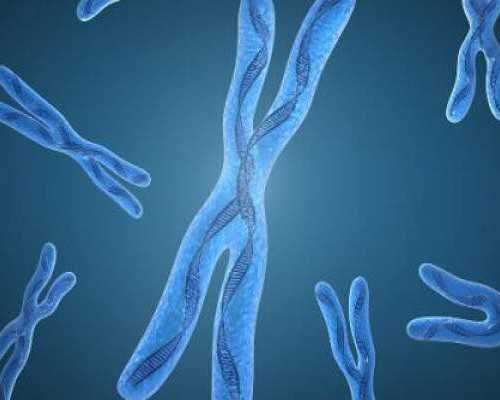 北京赠卵试管医院,[爆料]北京试管孩子中介