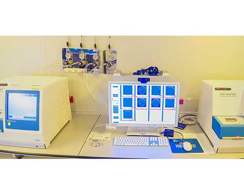 北京代怀公司中介,「喜冲冲」北京试管公司