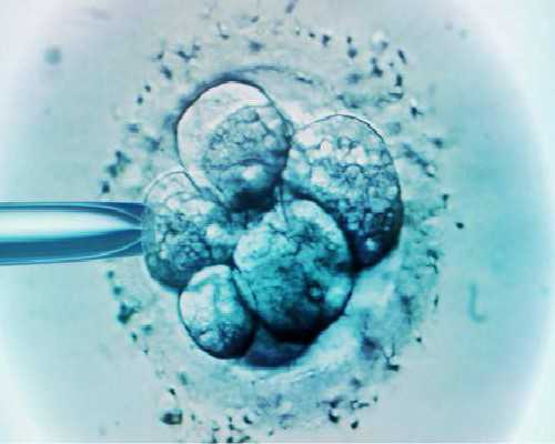 北京正规供卵咨询,北京网络职业学，单招专业