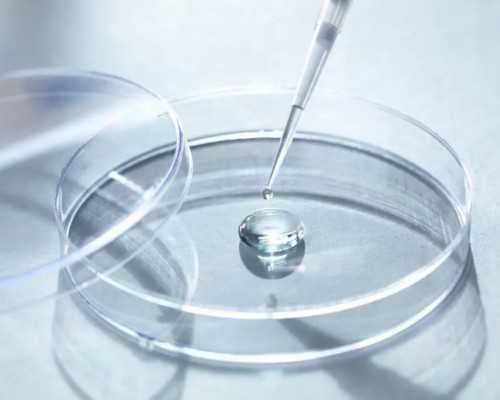 北京龙凤胎代孕套餐,北京三代试管包成功_北京三代试管攻略