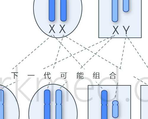 2023北京农村给孩子加急迁移户口一天能办理完手续吗？