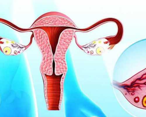 北京代生试管助孕|新余三代试管北京哪个医院