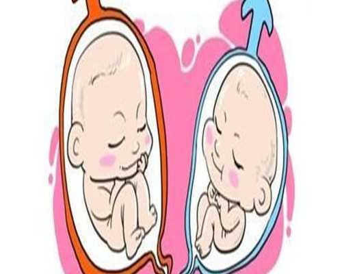 网传北京中信湘雅试管咨询区客服有假，是真的吗？