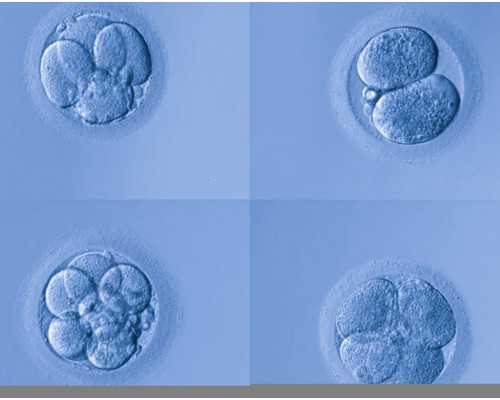 北京供卵机构,北京试管助孕机构排名前附供卵生子医院名单？