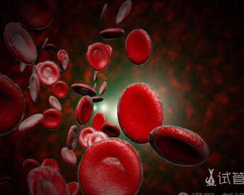 北京代孕需要发生性行为吗|济宁供卵试管医院排名？