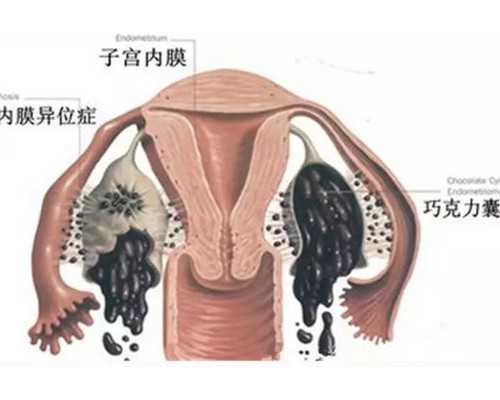 北京代生孕女宝宝|北京朝阳医院做试管婴儿成功率高吗？