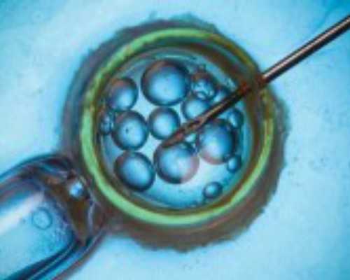 北京供卵包成功多少钱|北京助孕机构哪家好_三代试管医院