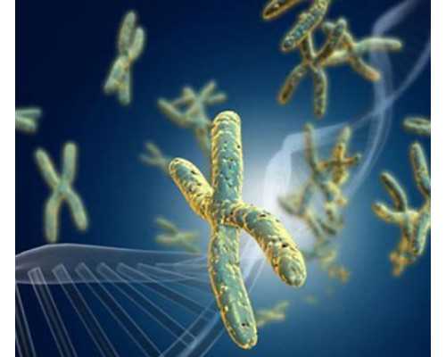 北京家园医院试管婴儿收费标准表格包括哪些内容？?