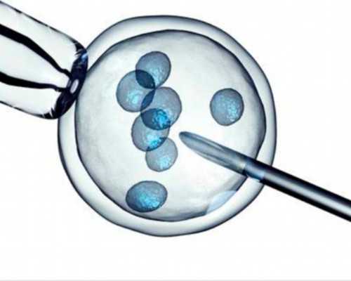 宁夏非遗｜胡忠庆和他的养生红玛瑙枸杞