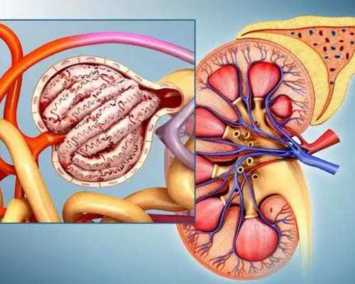 北京地区哪些医院和机构提供试管助孕服务？?