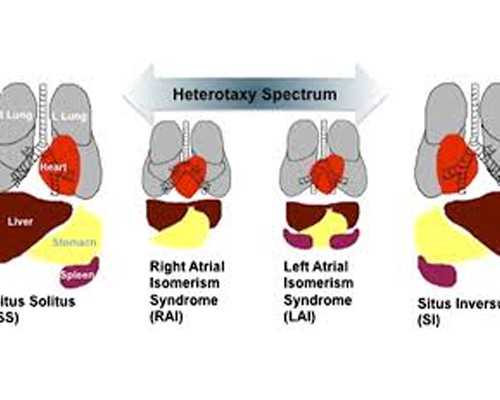 北京哪有供卵医院,北京供精试管婴儿多少钱，共要73374元