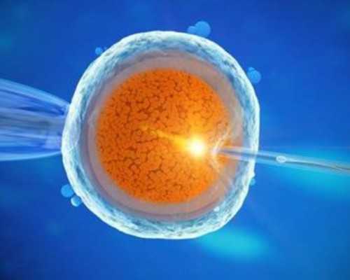 北京双胞胎代怀网,北京朝阳医院试管费用，北京朝阳医院生殖中心怎么样？