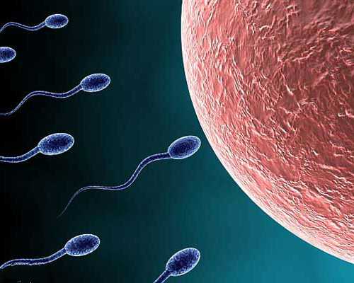 同心聚力 焕新启航，天正电气2023年一季度合作伙伴大会隆重举办