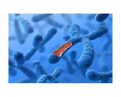 北京代孕网产子价格,北京试管约好孕帮优质,北京试管O到好孕帮