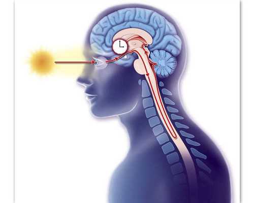 不会处理婆媳关系看什么电视剧