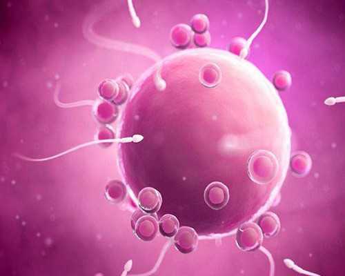 北京代孕网公司,北京男士备孕预约，北京男科医院在线预约咨询