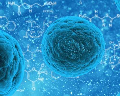 北京供卵盲选好吗,北京西城区：北京协和医院简介_费用_生殖中心_试管婴儿医