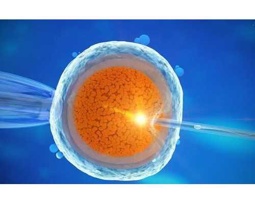 北京5a级助孕公司,北京协和医院借卵生男孩单周期费用3万元以上?