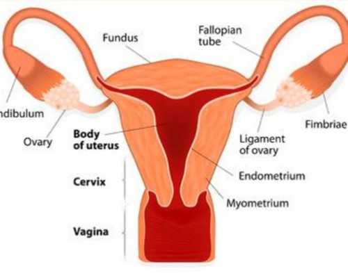 孕妇可以喝奶茶吗？喝奶茶对孕妇有哪些影响？