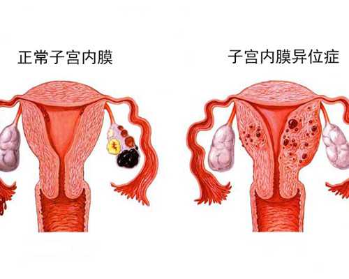 北京靠谱试管代怀,北京能做试管生男孩吗？北京私立试管医院生男孩是真的吗