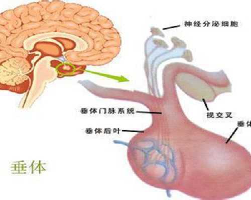 北京代生女儿|北京朝阳医院做试管婴儿成功率高吗