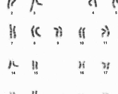 试管婴儿北京医保报销包括河北医保吗,北京户籍人口出生数创10年新低：人少了