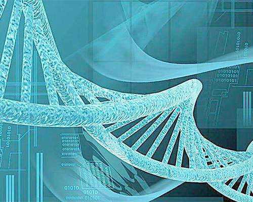 北京代孕宝宝多少钱|湖州供卵第三代试管婴儿医院排名？附医院名单？