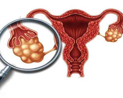 北京供卵公司机构,北京供卵中心在哪里预约