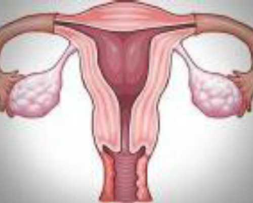 北京借卵子助孕,「难以割舍」北京试管价格