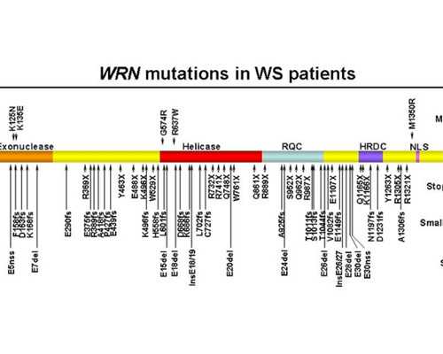 近千名四川省食品行业企业家齐聚一堂，共话行业高质量发展