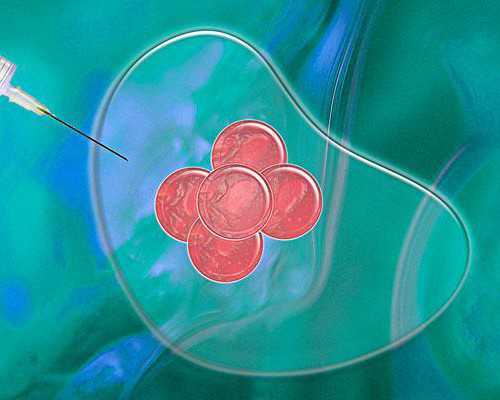 北京代怀的联系方式|北京助孕公司试管价格多少钱啊？