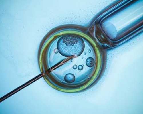 北京供卵助孕选性别|北京患子宫肌瘤的孕妇还能做人流吗?北京供卵试管婴儿正