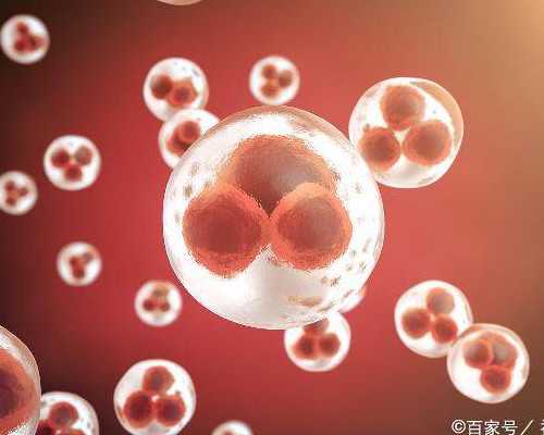 北京代孕公司在哪里,北京试管包男孩