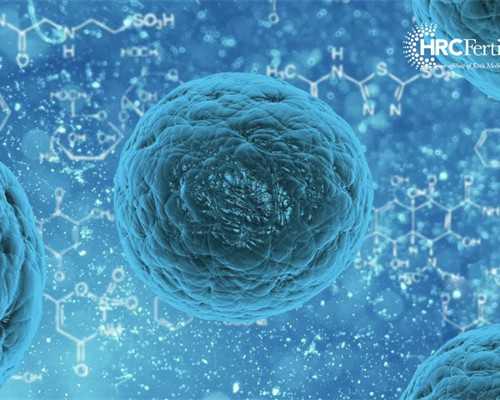 14岁性格像小孩子吗知乎(14岁性格像小孩子吗知乎文章)
