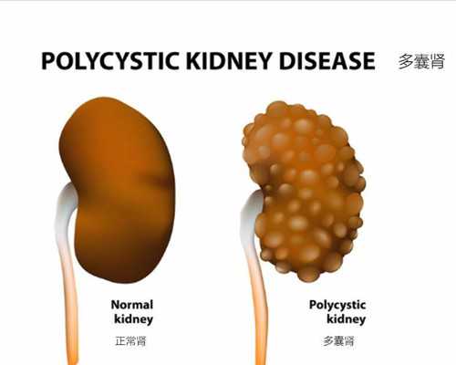 北京供卵试管哪家好|北京301解放军总医院试管怎么样？