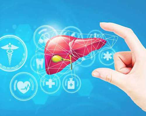 上海体育场全新亮相，徐家汇体育公园的蓝图正在变成“实景画”