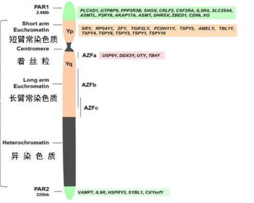 小孩亢奋性格改变(小孩亢奋性格改变怎么办)