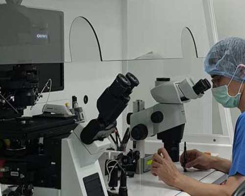 世界上最重的水果，非它莫属，四大功效，价格不低