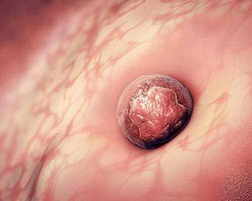 北京代孕好的医院,在北京怎么找靠谱的月嫂？