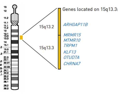 拉萨去格鲁吉亚做试管助孕生孩子费用大约需要多少