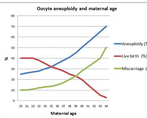 北京谁有代孕成功的案例|四川供卵试管医院不用等,哪做供卵不用等