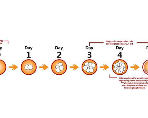 北京做试管医院|北京供卵试管机构哪家好点