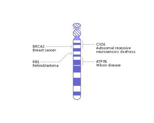 北京机构医院供卵,北京合法试管中心有哪些