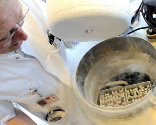 北京试管代怀包成功|[克拉玛依试管婴儿]美国试管婴儿针对人群大盘点