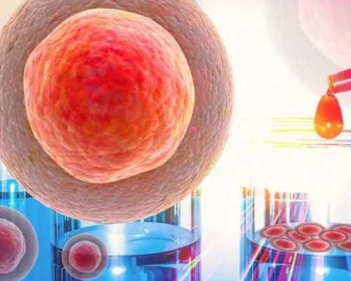 北京代孕网哪家靠谱,北京试管中介